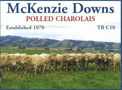 McKenzie Downs compressed.jpg.jpg